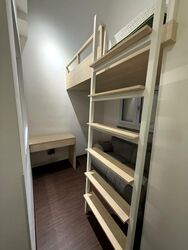 Little India Conservation Area (D8), Apartment #473449341